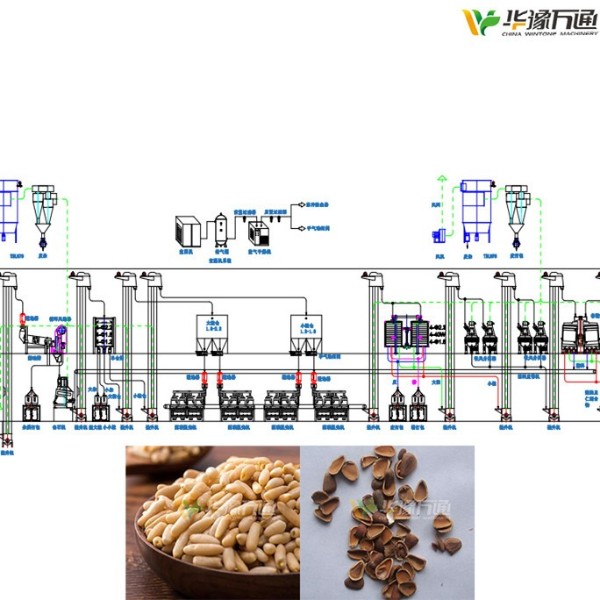 巴基斯坦松子脱壳成套设备